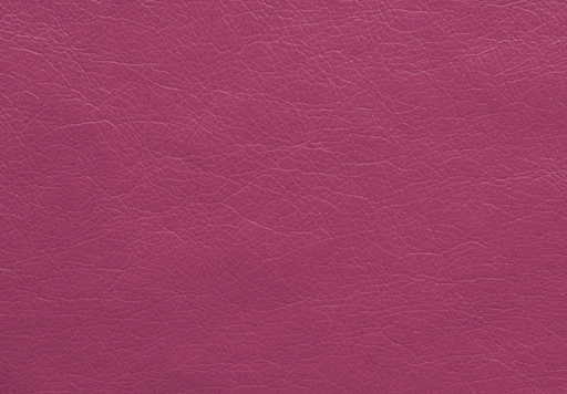 Fusion, вариант Fusion Pink
