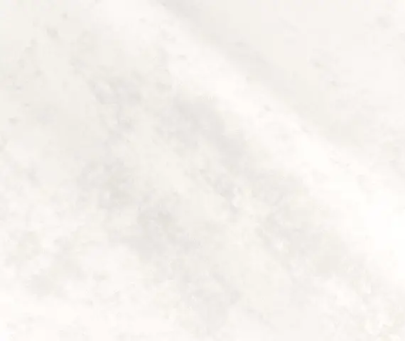 Ocean, вариант Ocean 100