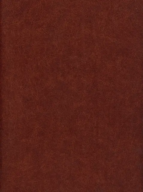 Levis, вариант Levis 5-terracotta