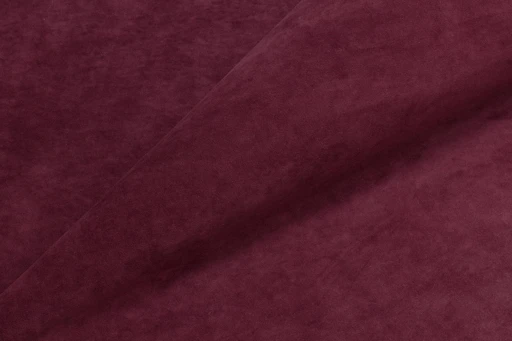 Teddy, вариант Teddy 646