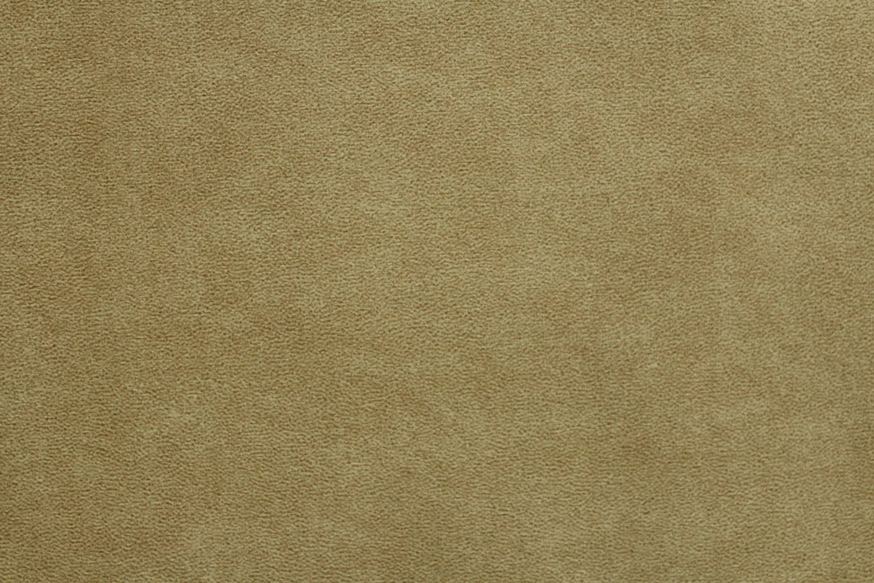 Elefante, вариант Elefante 04