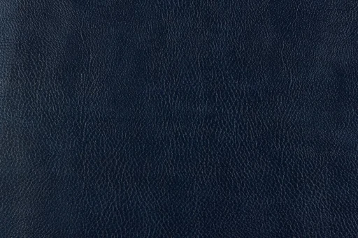 Bizon, вариант Bizon 5