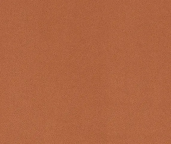 Flex, вариант Flex 428