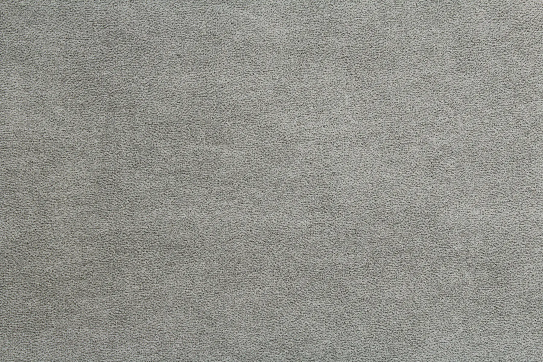 Elefante, вариант Elefante 10