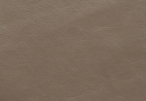 Fusion, вариант Fusion Grey