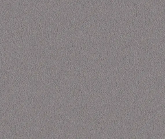Oracul, вариант Oracul 290