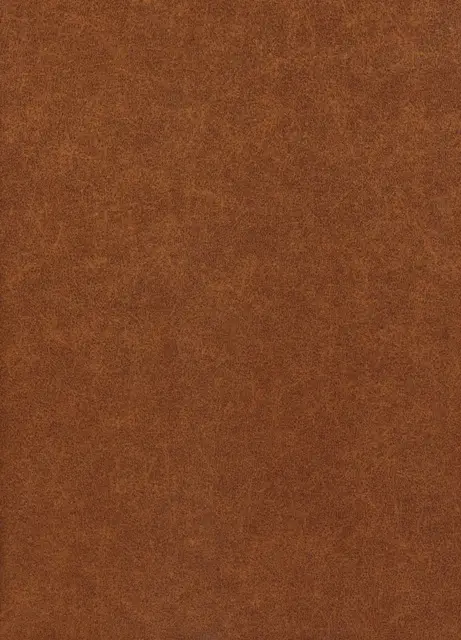 Levis, вариант Levis 6-ohra