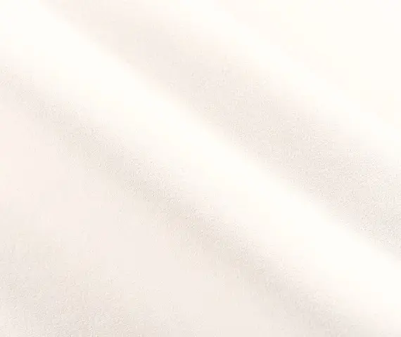 Forward, вариант Forward 100