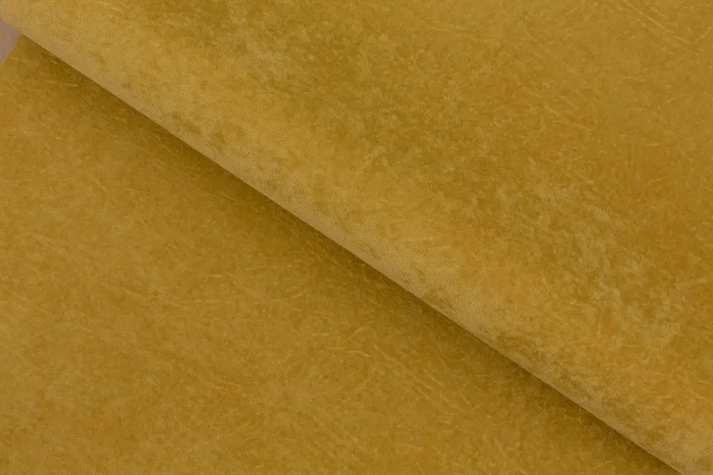 Dania, вариант Dania Ochra