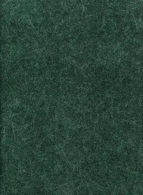 Levis, вариант Levis 8-green
