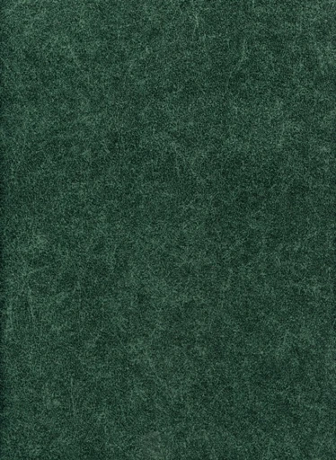 Levis, вариант Levis 8-green