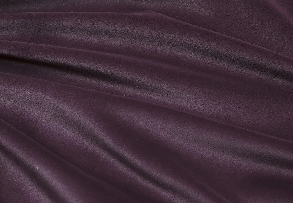 Prima, вариант Prima Purple