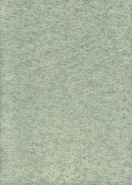 Runa, вариант Runa 10
