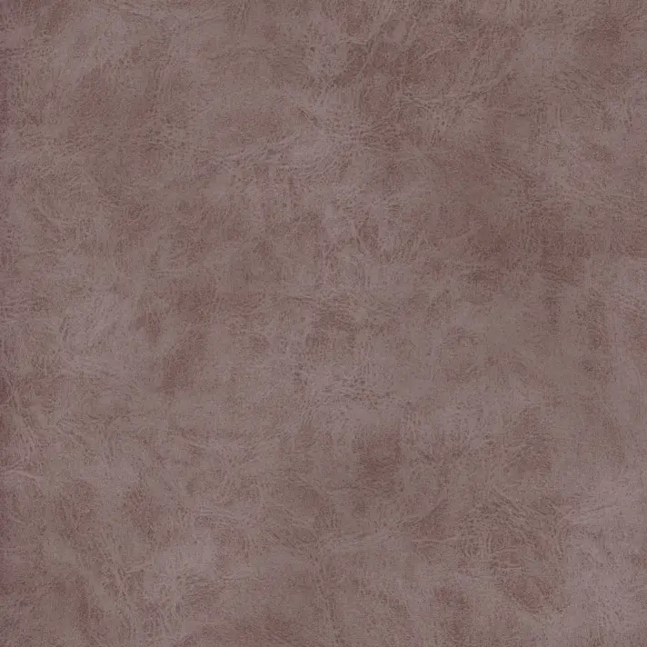 Camel, вариант Camel 5