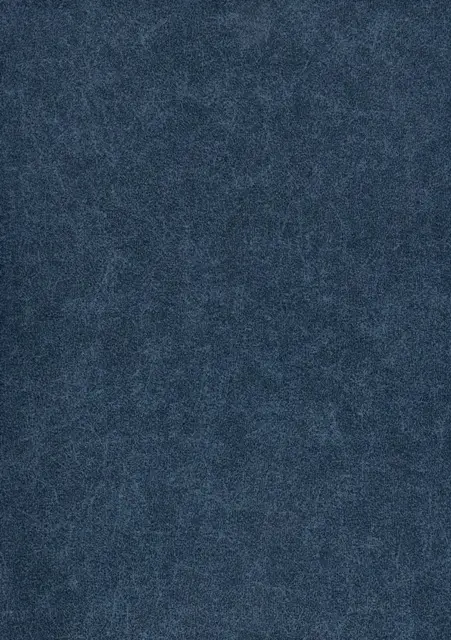 Levis, вариант Levis 10-blue