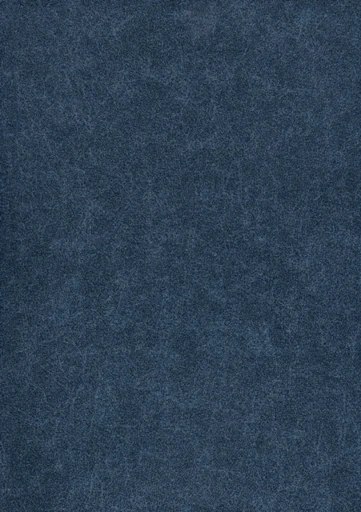 Levis, вариант Levis 10-blue