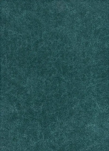 Levis, вариант Levis 9-biruza