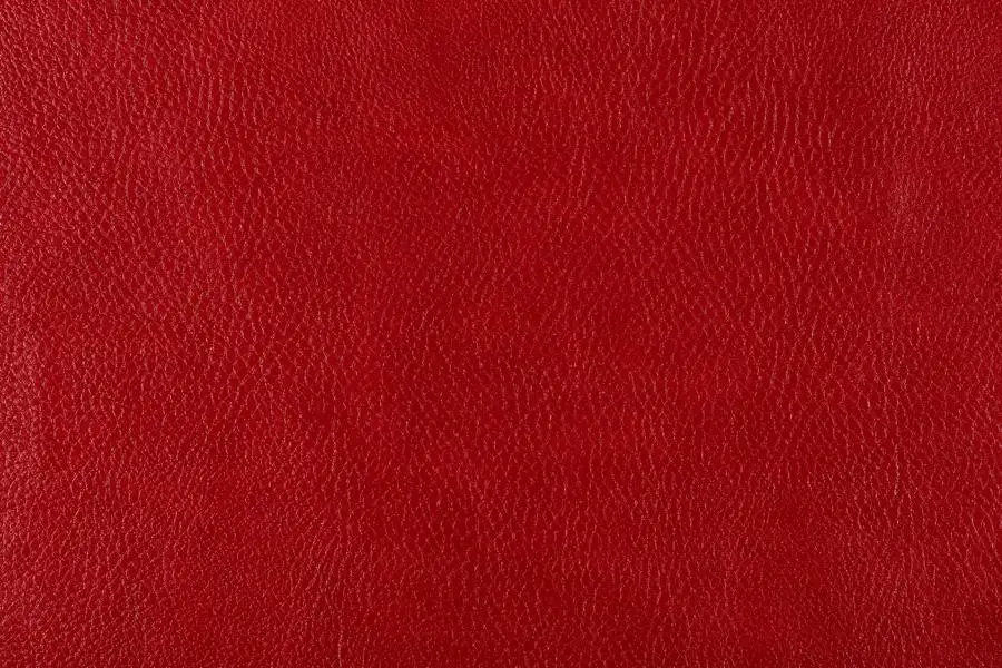 Bizon, вариант Bizon 1