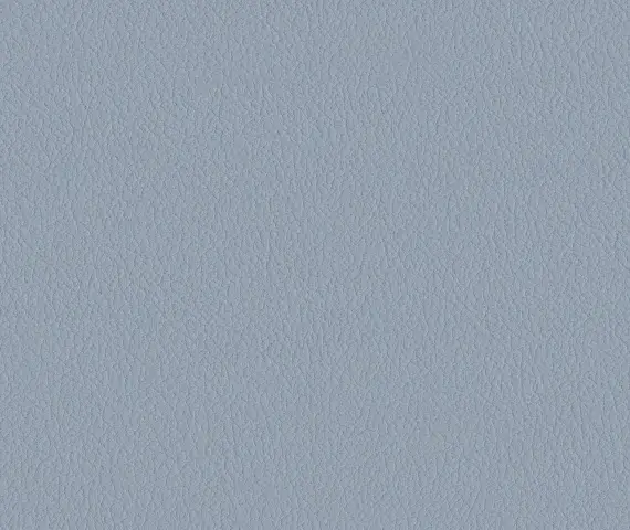 Oracul, вариант Oracul 965