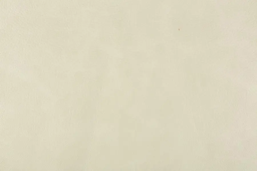 Bizon, вариант Bizon 19