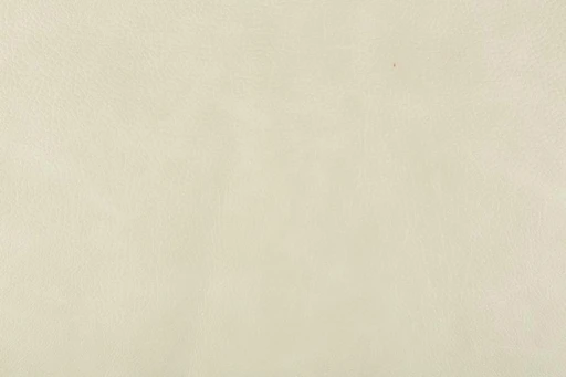 Bizon, вариант Bizon 19
