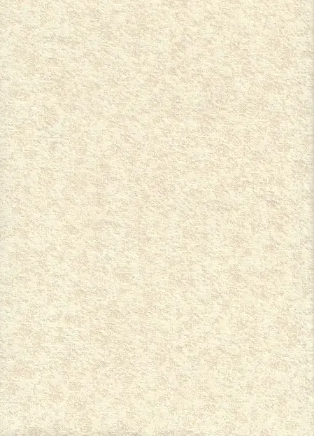Runa, вариант Runa 01