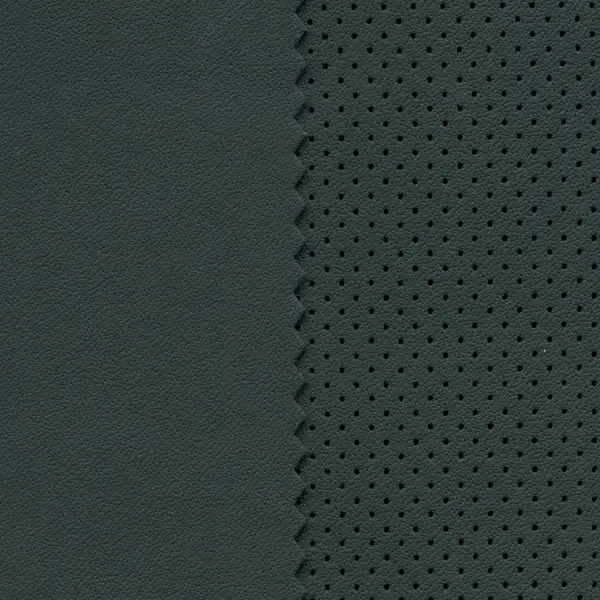 NAPPA (auto-microfiber), вариант Nappa 2165