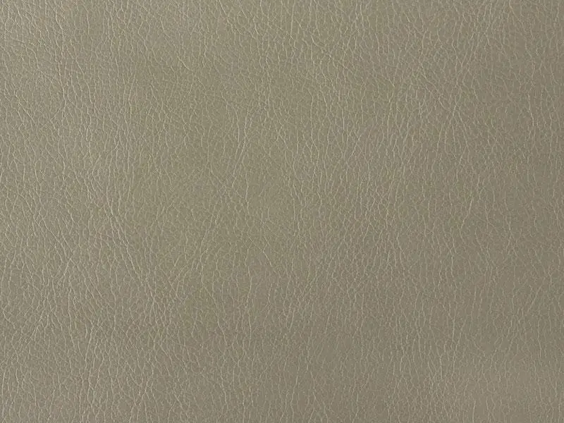 Mango, вариант Манго 3646 (646)