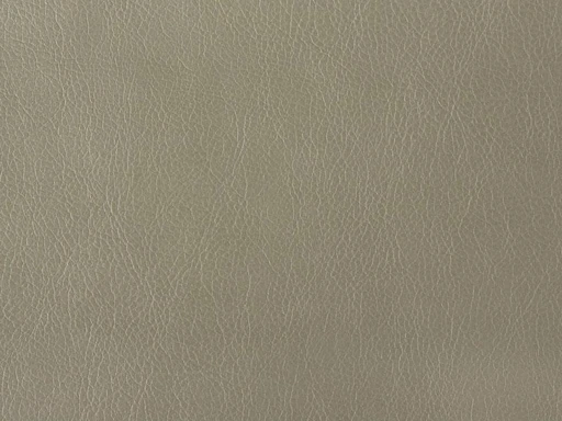 Mango, вариант Манго 3646 (646)