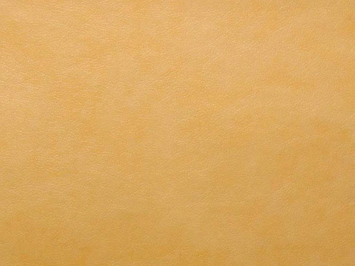 Mango, вариант Манго 8966