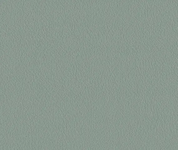 Oracul, вариант Oracul 695