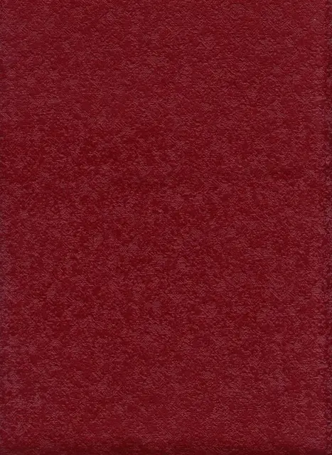 Runa, вариант Runa 07