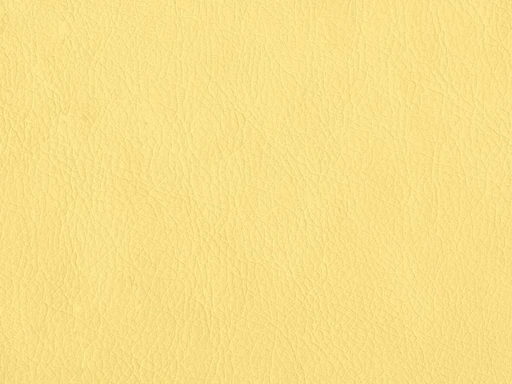Mango, вариант Манго 311