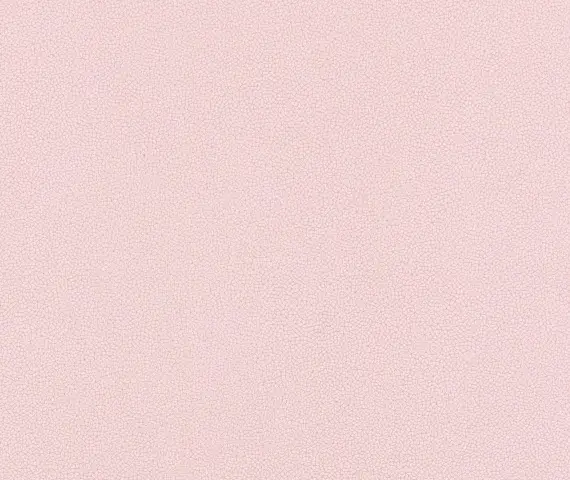 Flex, вариант Flex 300