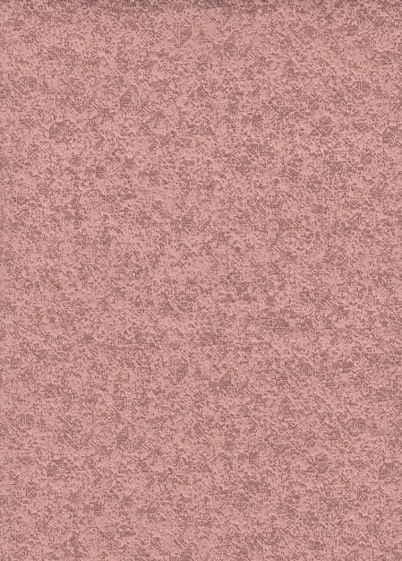 Runa, вариант Runa 08