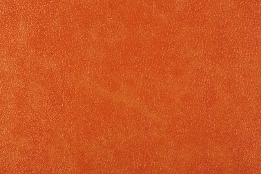 Bizon, вариант Bizon 29