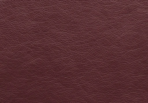 Fusion, вариант Fusion Bordo