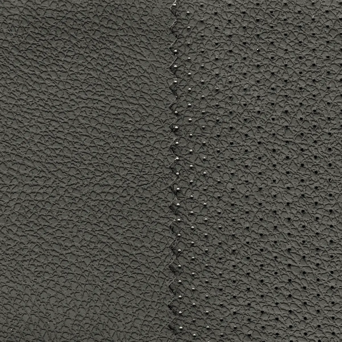 DAKOTA (auto-microfiber), вариант Dakota 2101 Perfo