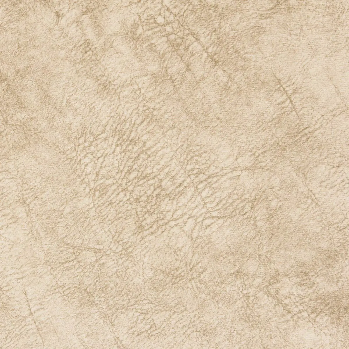 Fenix, вариант Fenix 01