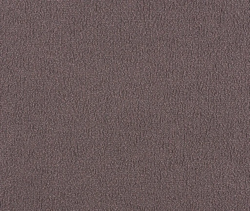 Coco, вариант Coco 238