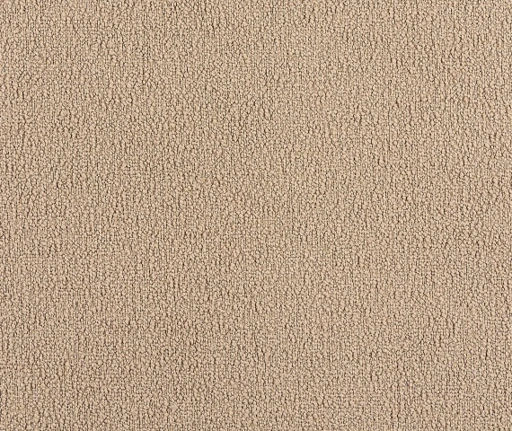 Coco, вариант Coco 260
